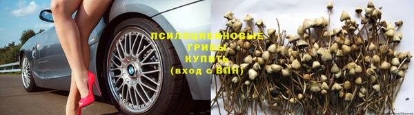 молекула духа Алексеевка